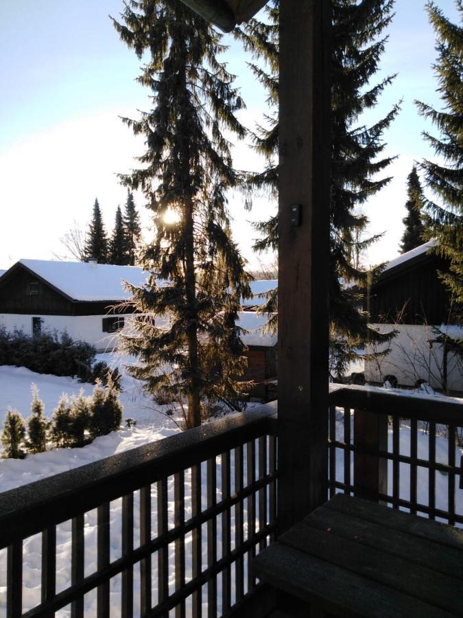 Ferienhaus Bayerischer Wald Regen Exterior photo